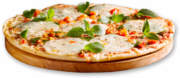 Pizza Catering Dearborn